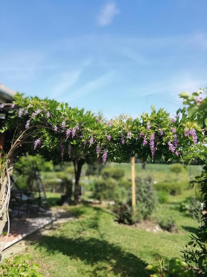 Lazy Days Ξενοδοχείο Ντέμπρετσεν Εξωτερικό φωτογραφία